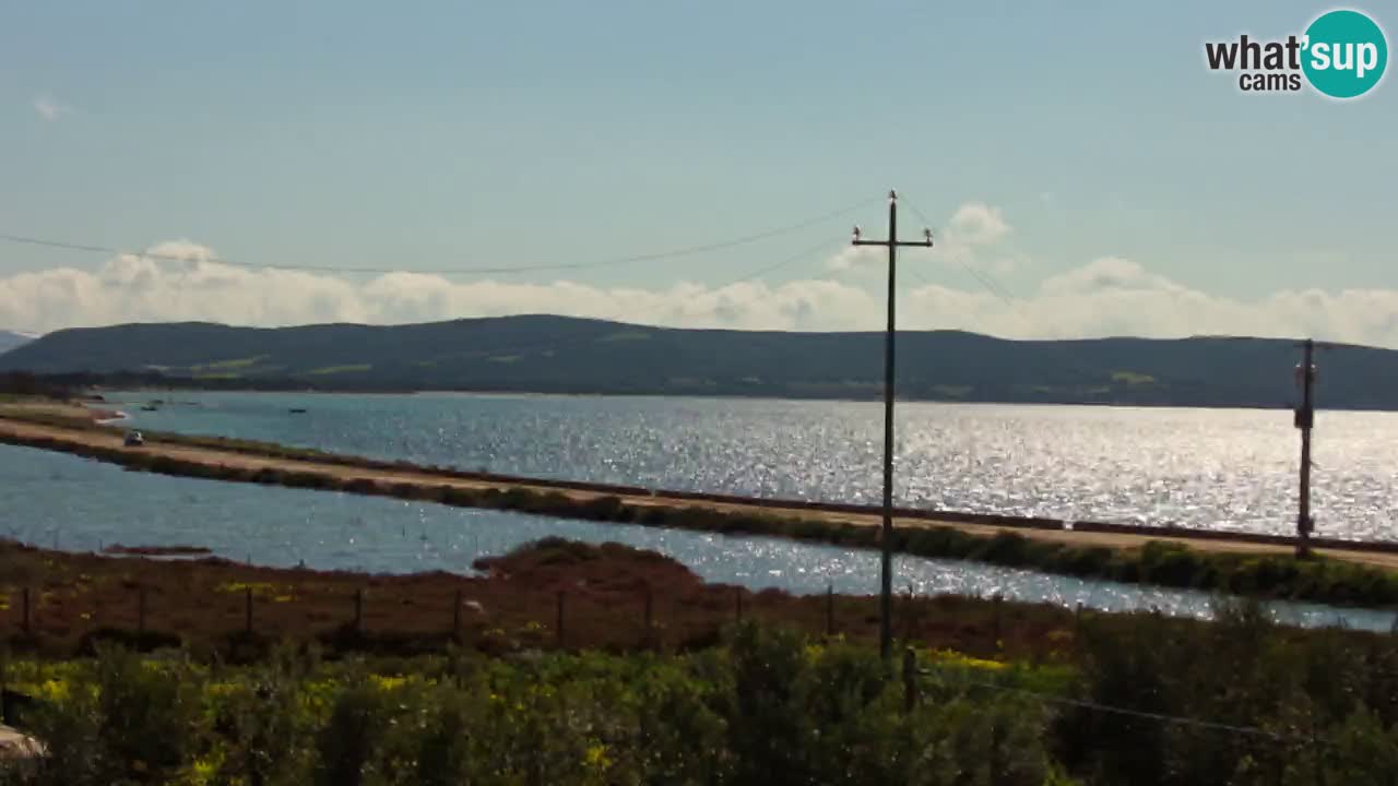 Spletna kamera Porto Botte plaža | Sardinija