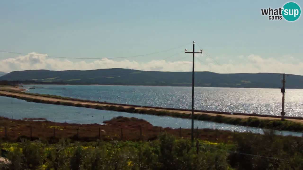 Playa Porto Botte webcam | Cerdena