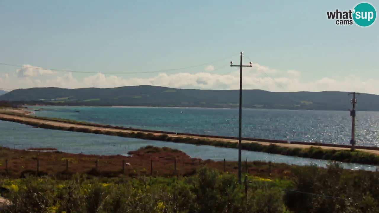 Beach Porto Botte webcam | Sardinia