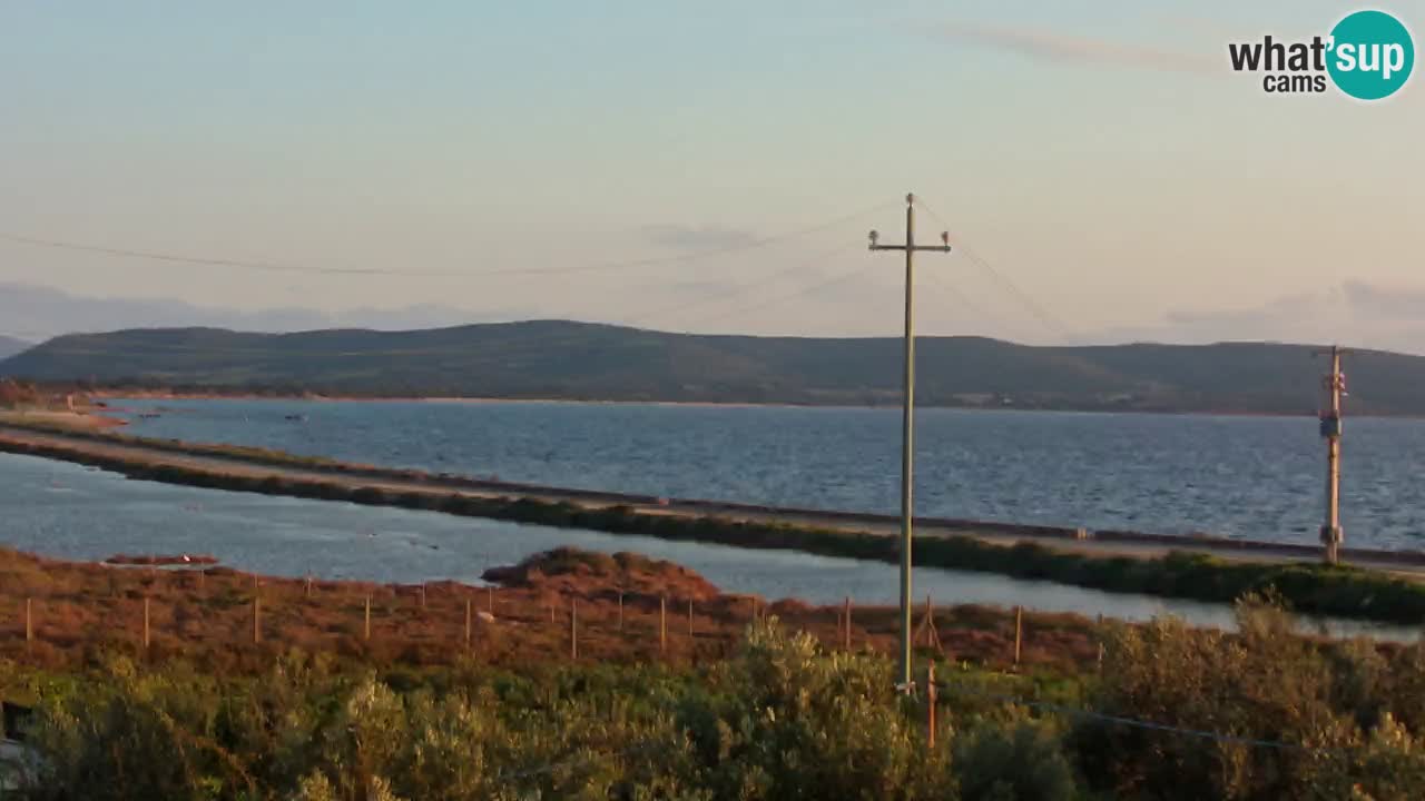 Webcam Porto Botte spiaggia | Sardegna