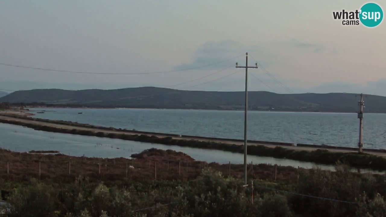 Plage Porto Botte webcam | Sardaigne