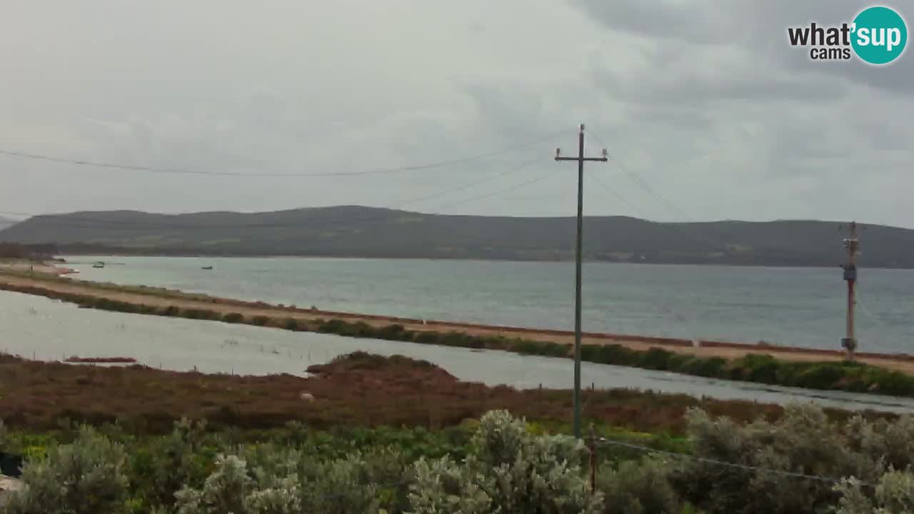 Beach Porto Botte webcam | Sardinia