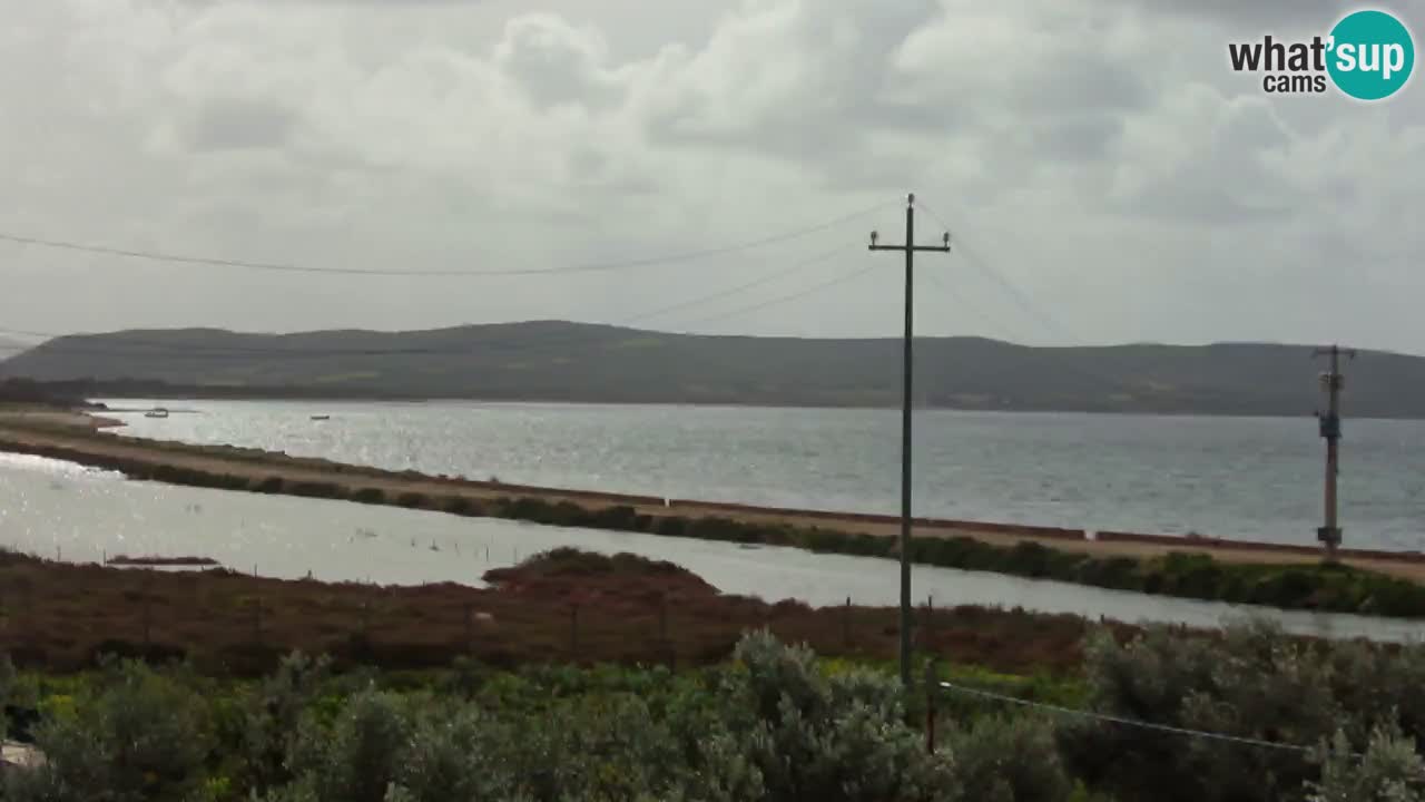 Strand Porto Botte webcam | Sardinien