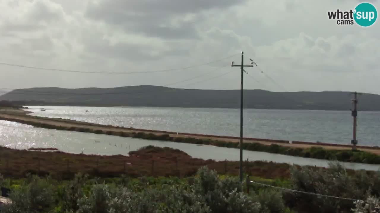 Plage Porto Botte webcam | Sardaigne