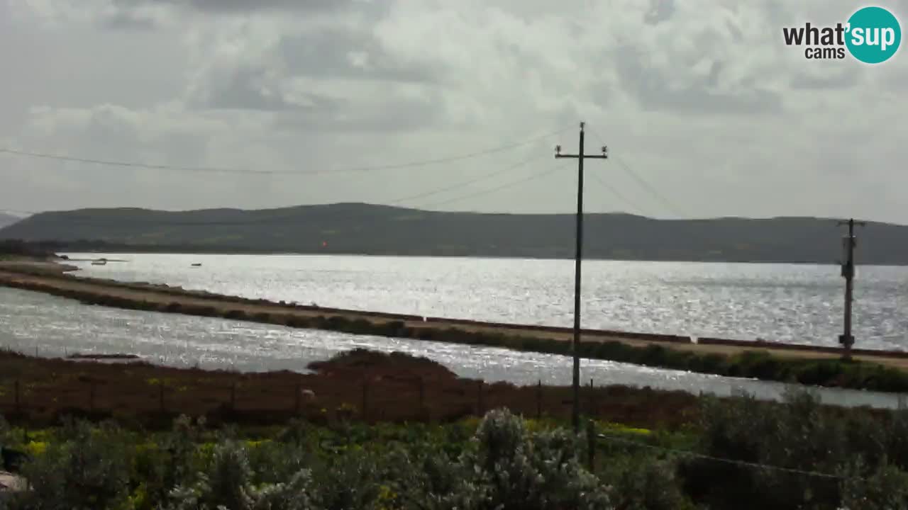 Strand Porto Botte webcam | Sardinien