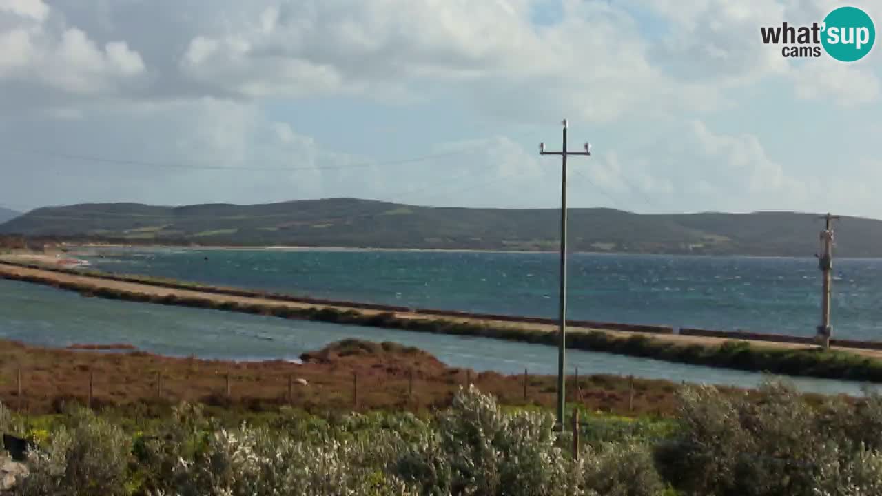 Webcam Porto Botte spiaggia | Sardegna