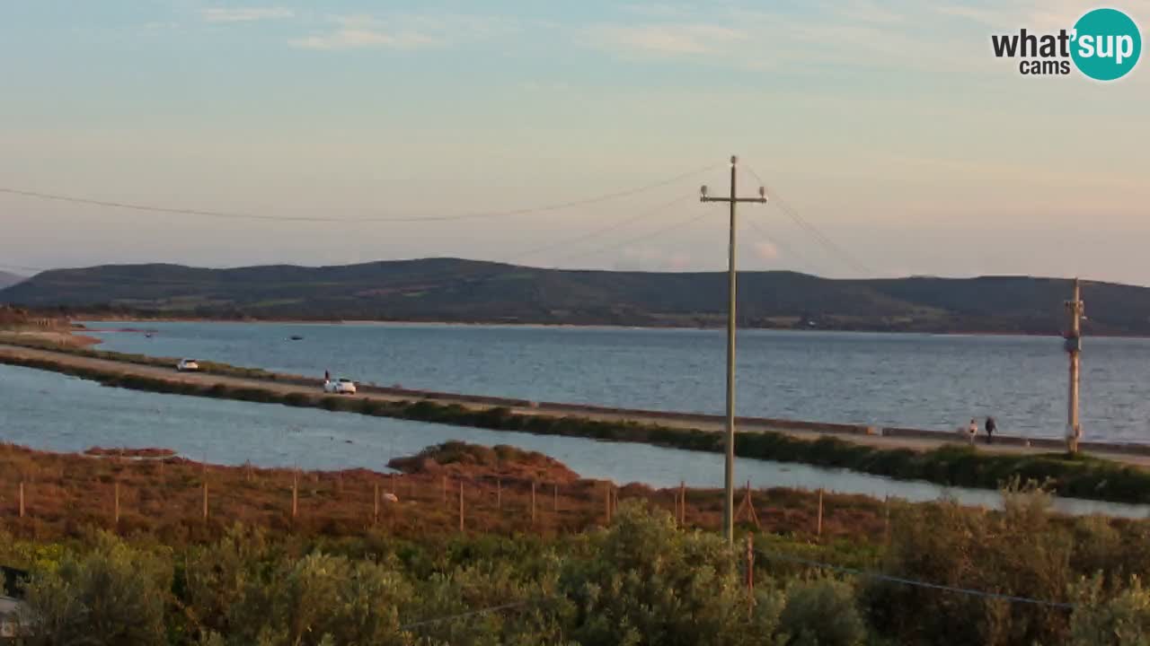 Beach Porto Botte webcam | Sardinia