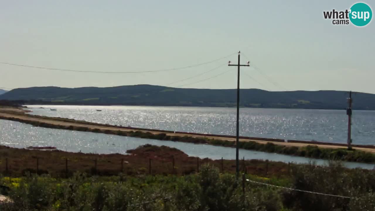 Beach Porto Botte webcam | Sardinia