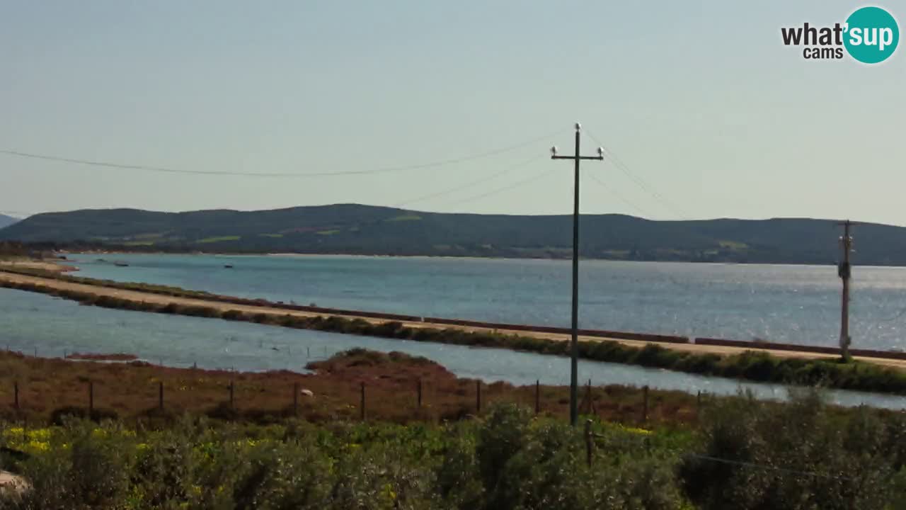 Playa Porto Botte webcam | Cerdena