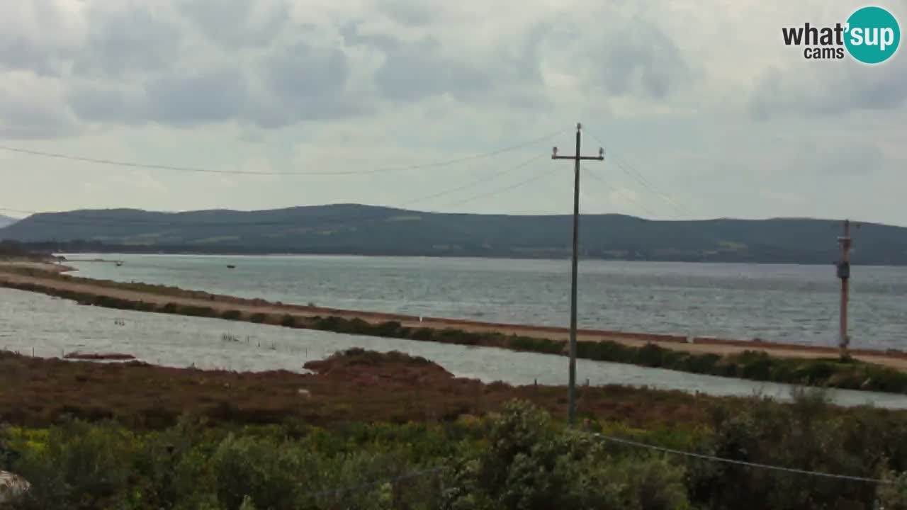 Beach Porto Botte webcam | Sardinia