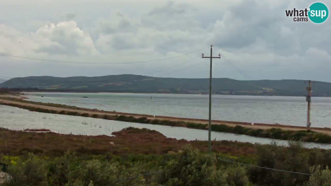 Plage Porto Botte webcam | Sardaigne