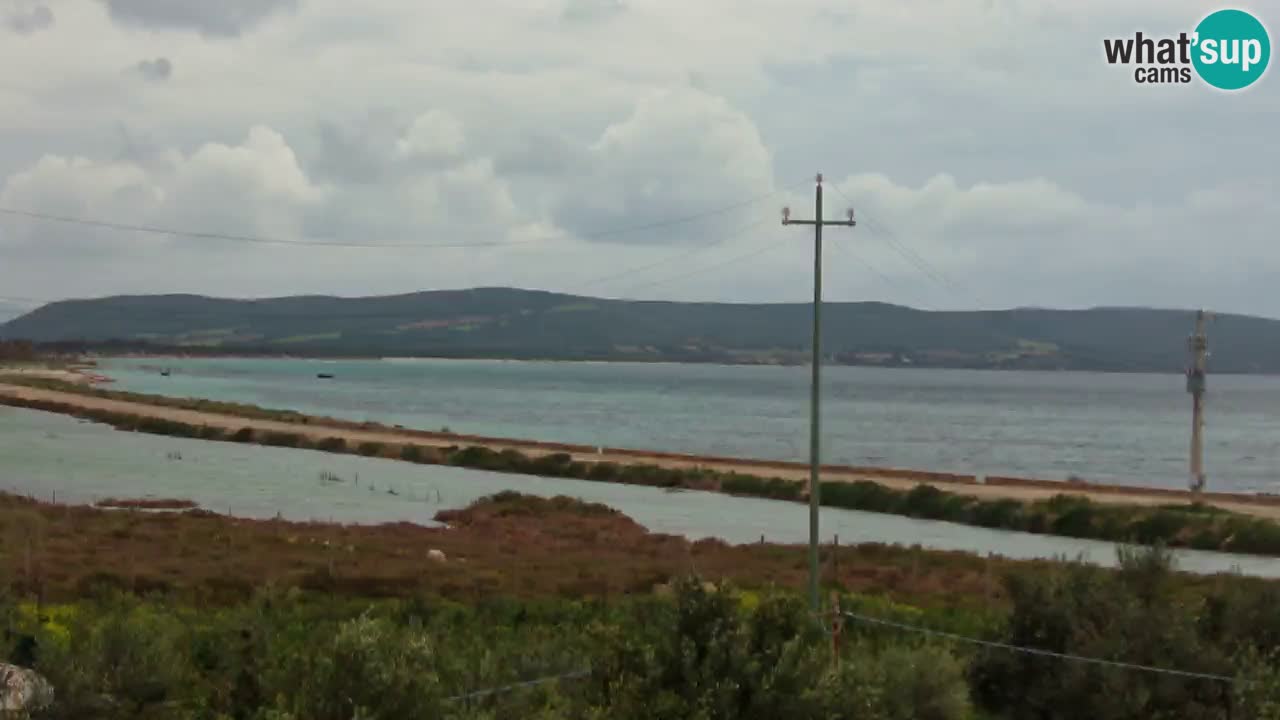 Plage Porto Botte webcam | Sardaigne