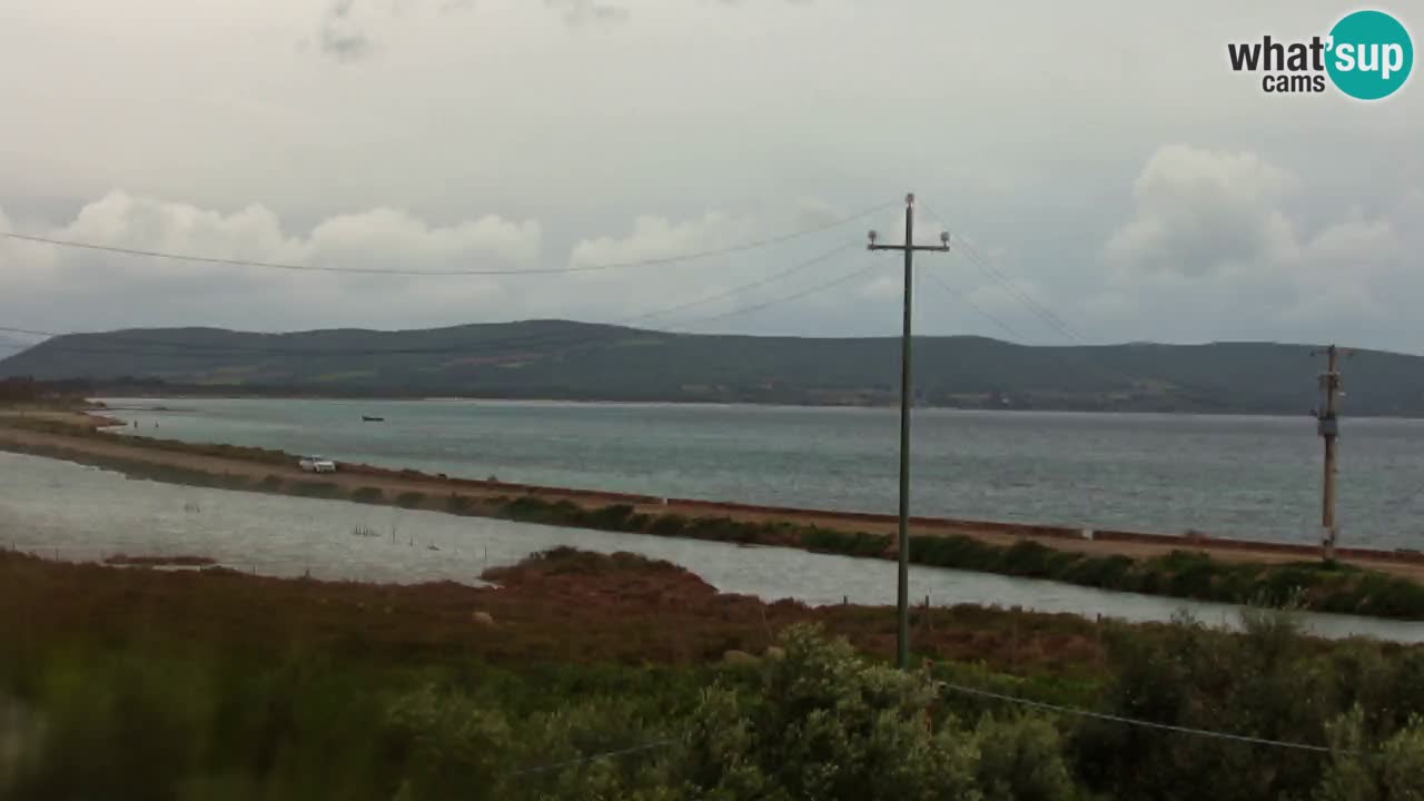 Beach Porto Botte webcam | Sardinia