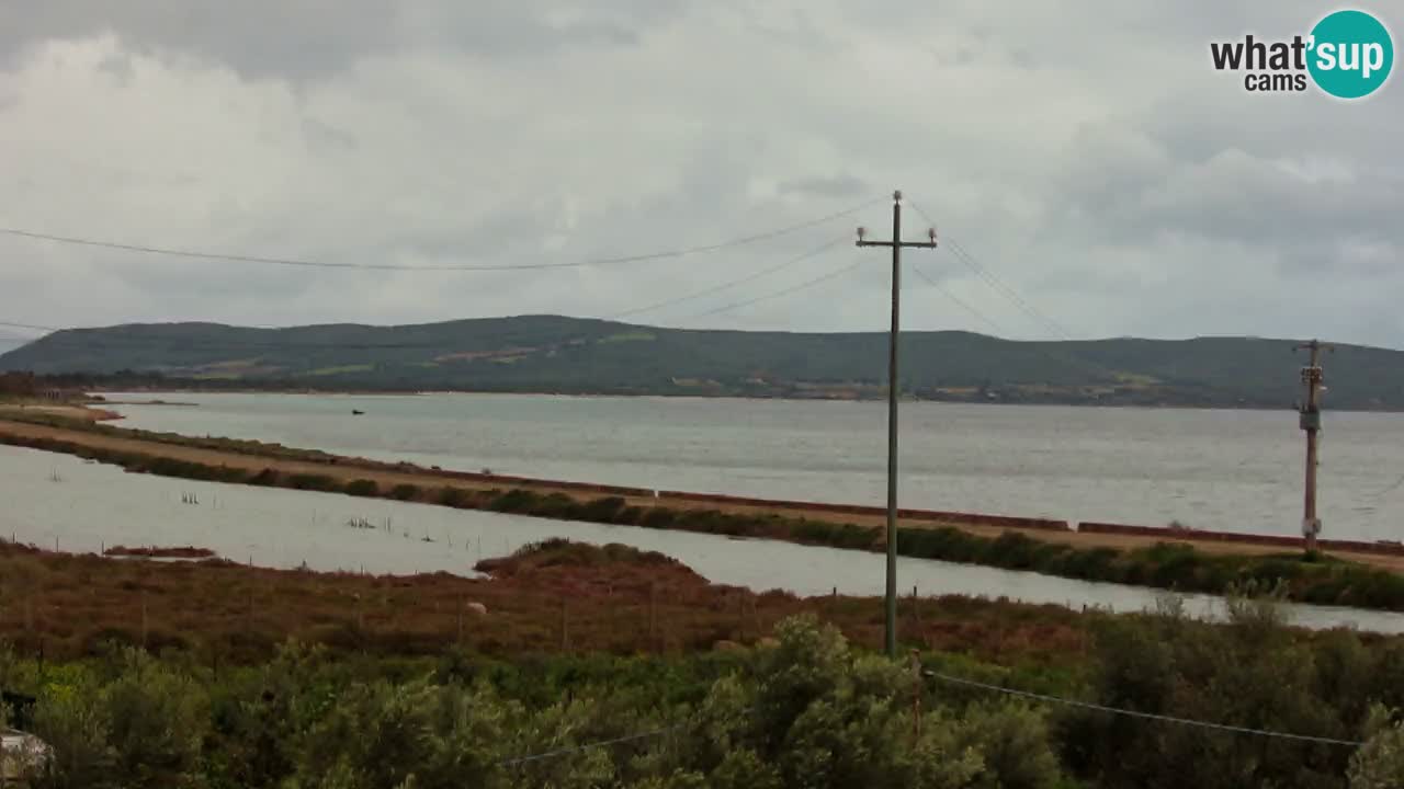 Beach Porto Botte webcam | Sardinia