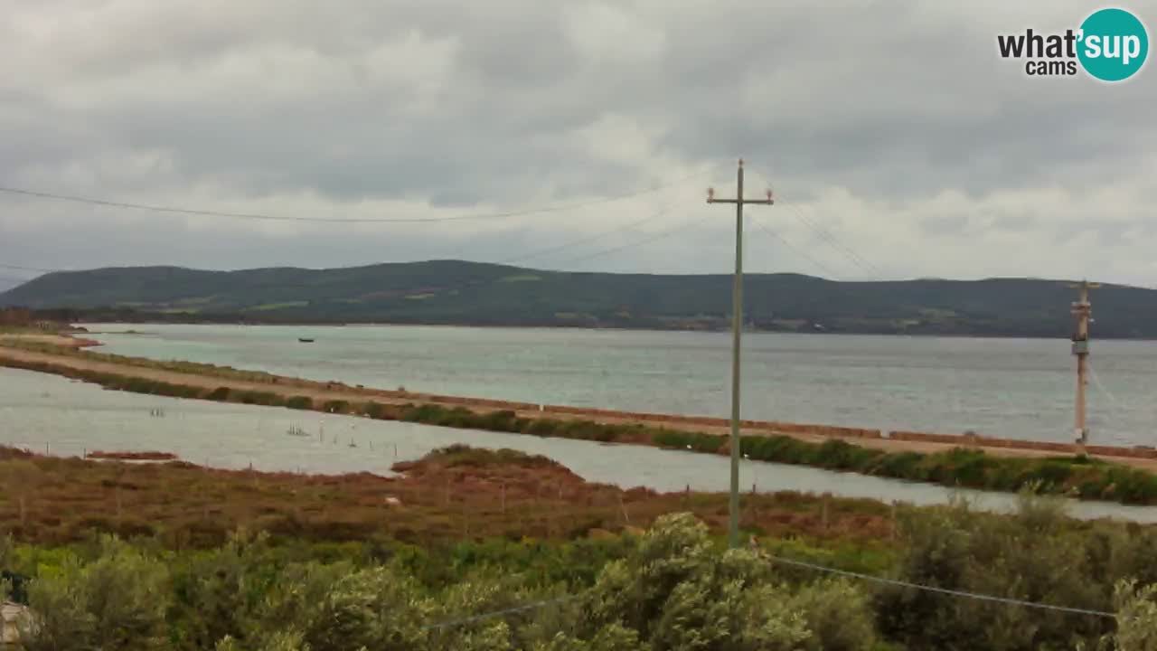 Strand Porto Botte webcam | Sardinien