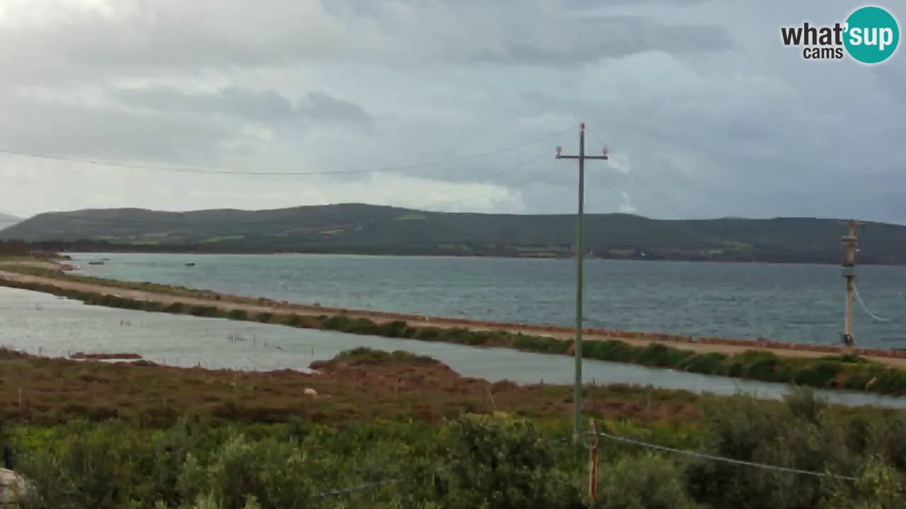 Playa Porto Botte webcam | Cerdena