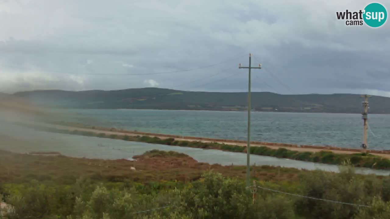 Beach Porto Botte webcam | Sardinia