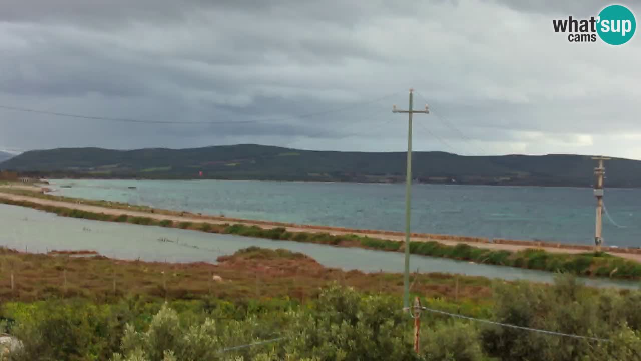 Plage Porto Botte webcam | Sardaigne