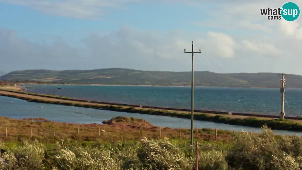 Playa Porto Botte webcam | Cerdena