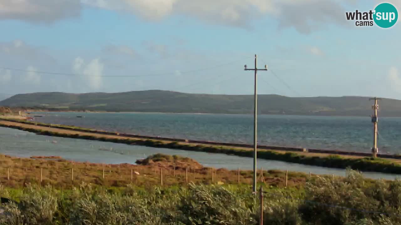 Webcam Porto Botte spiaggia | Sardegna