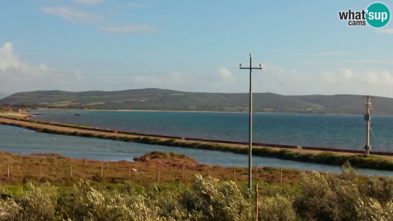 Beach Porto Botte webcam | Sardinia