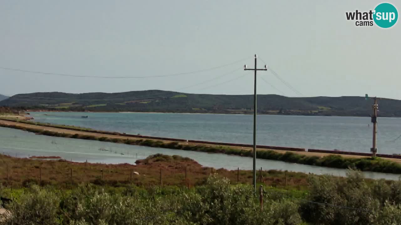 Plage Porto Botte webcam | Sardaigne