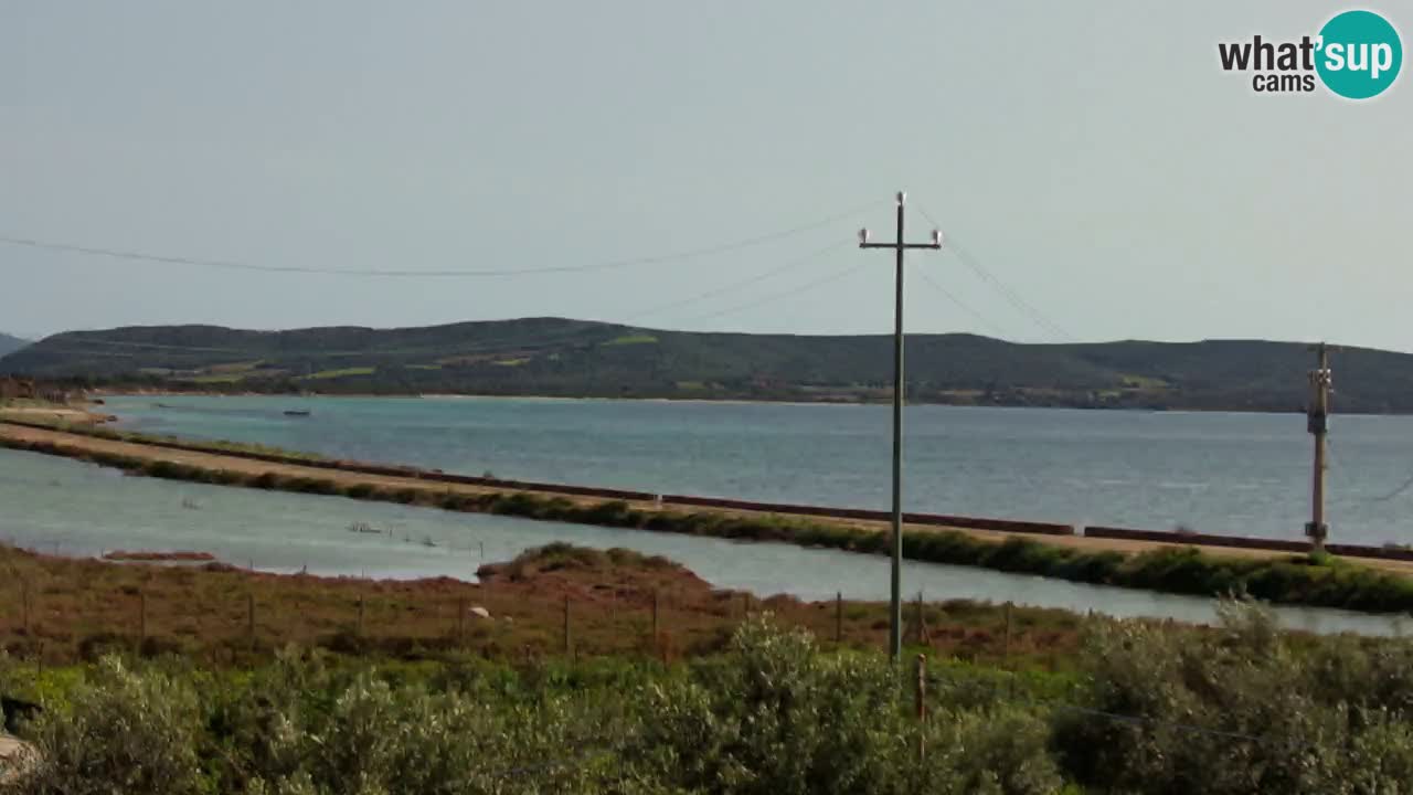 Plage Porto Botte webcam | Sardaigne