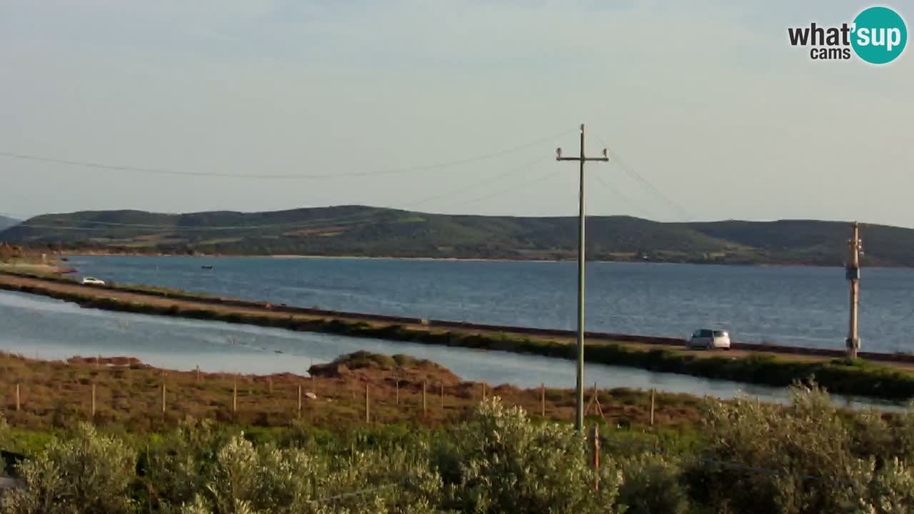 Playa Porto Botte webcam | Cerdena