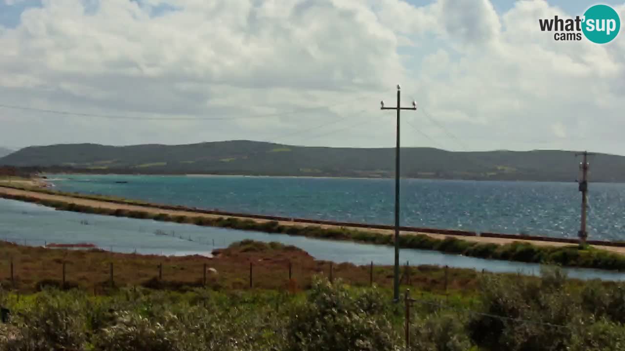 Beach Porto Botte webcam | Sardinia