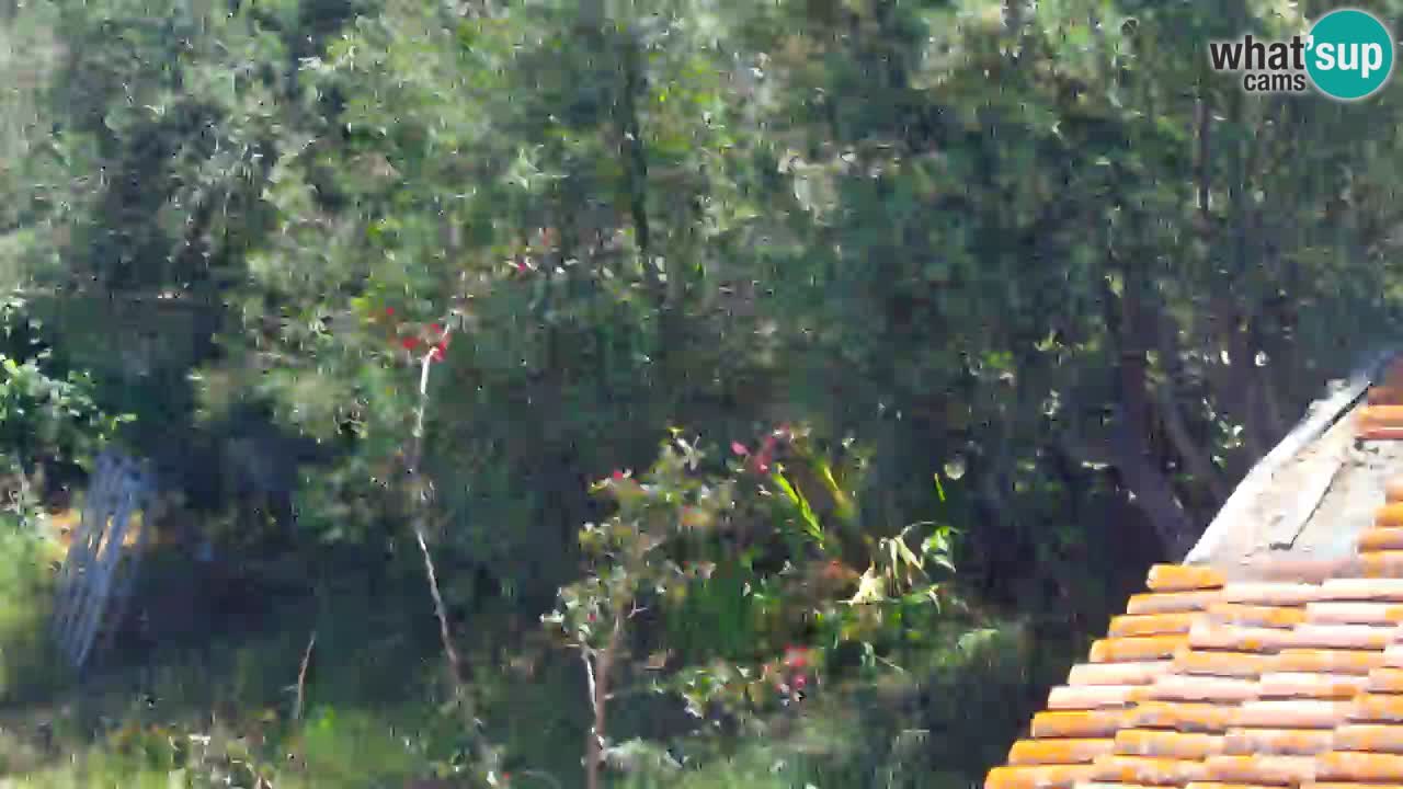 Plage Porto Botte webcam | Sardaigne