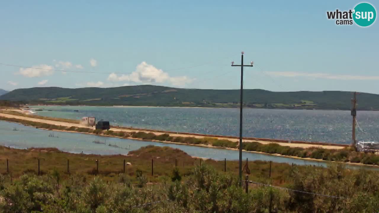 Beach Porto Botte webcam | Sardinia