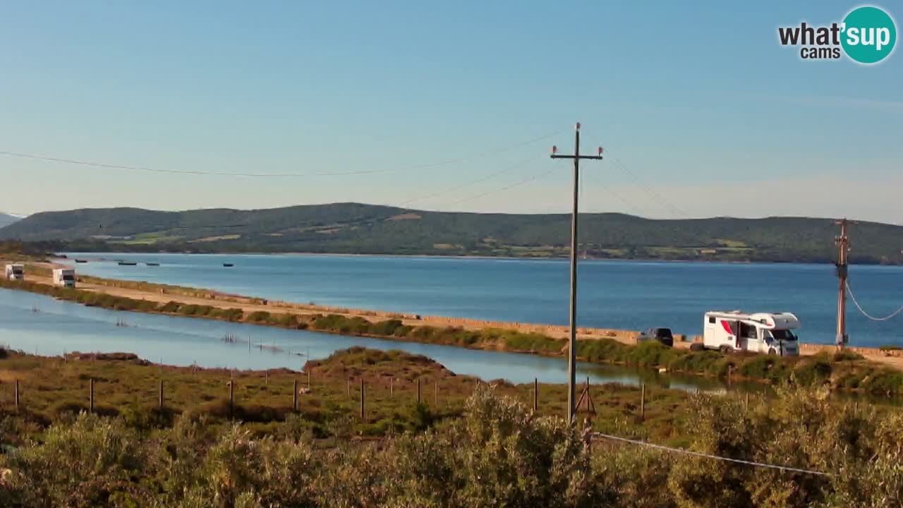 Beach Porto Botte webcam | Sardinia