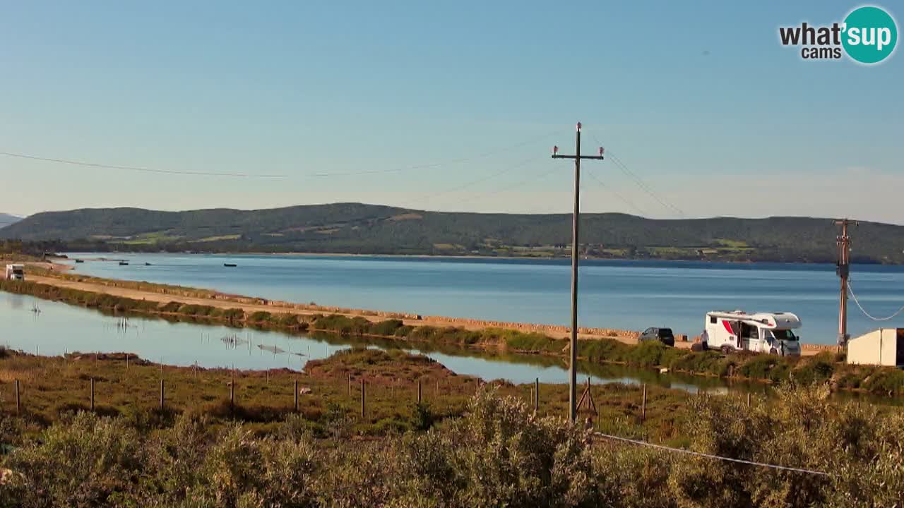 Beach Porto Botte webcam | Sardinia