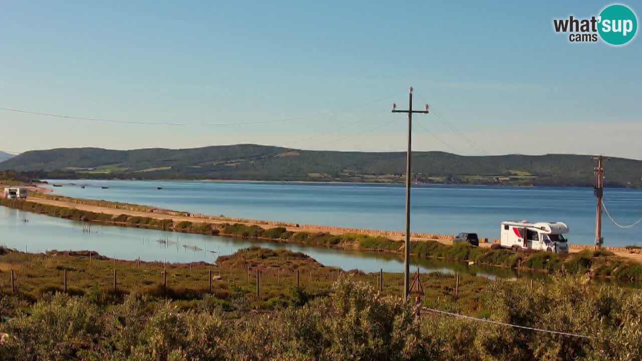 Beach Porto Botte webcam | Sardinia