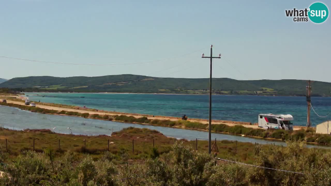 Webcam Porto Botte spiaggia | Sardegna