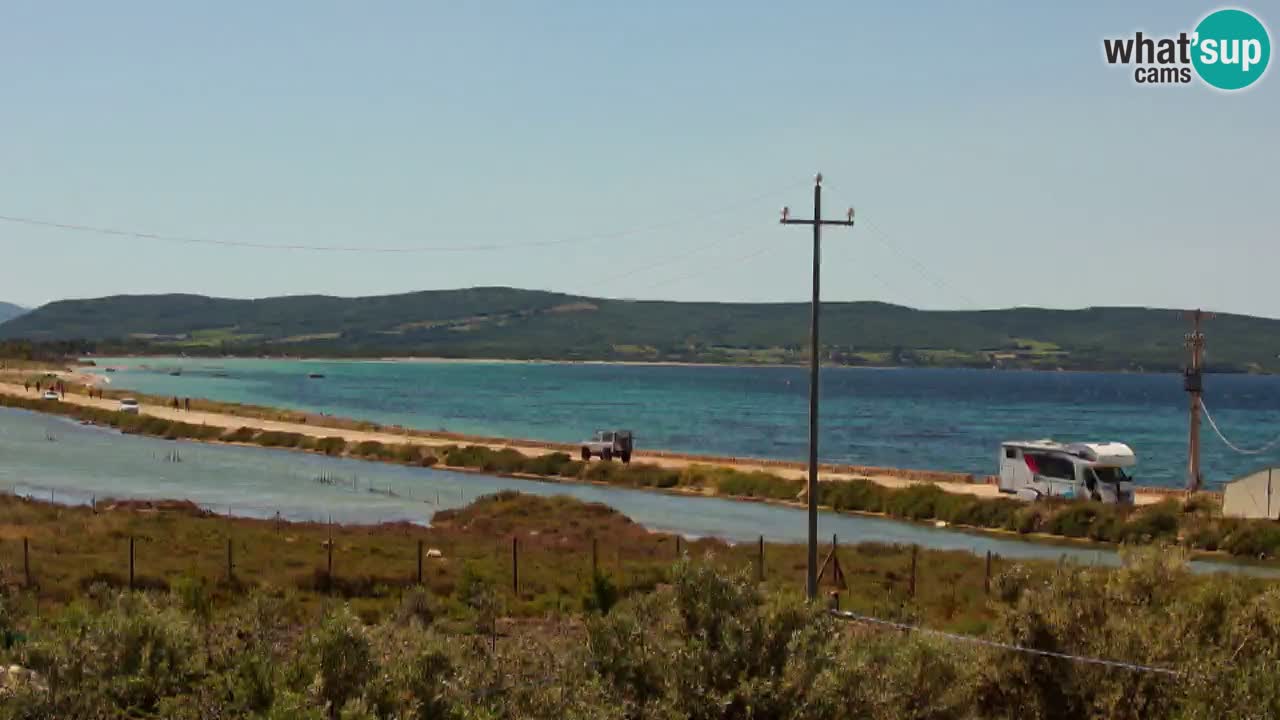 Strand Porto Botte webcam | Sardinien