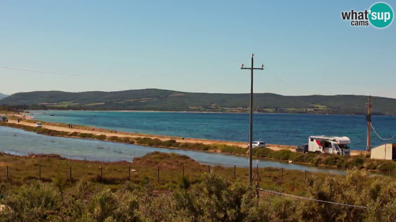 Beach Porto Botte webcam | Sardinia
