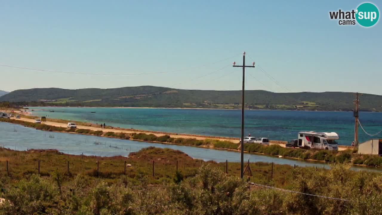 Playa Porto Botte webcam | Cerdena