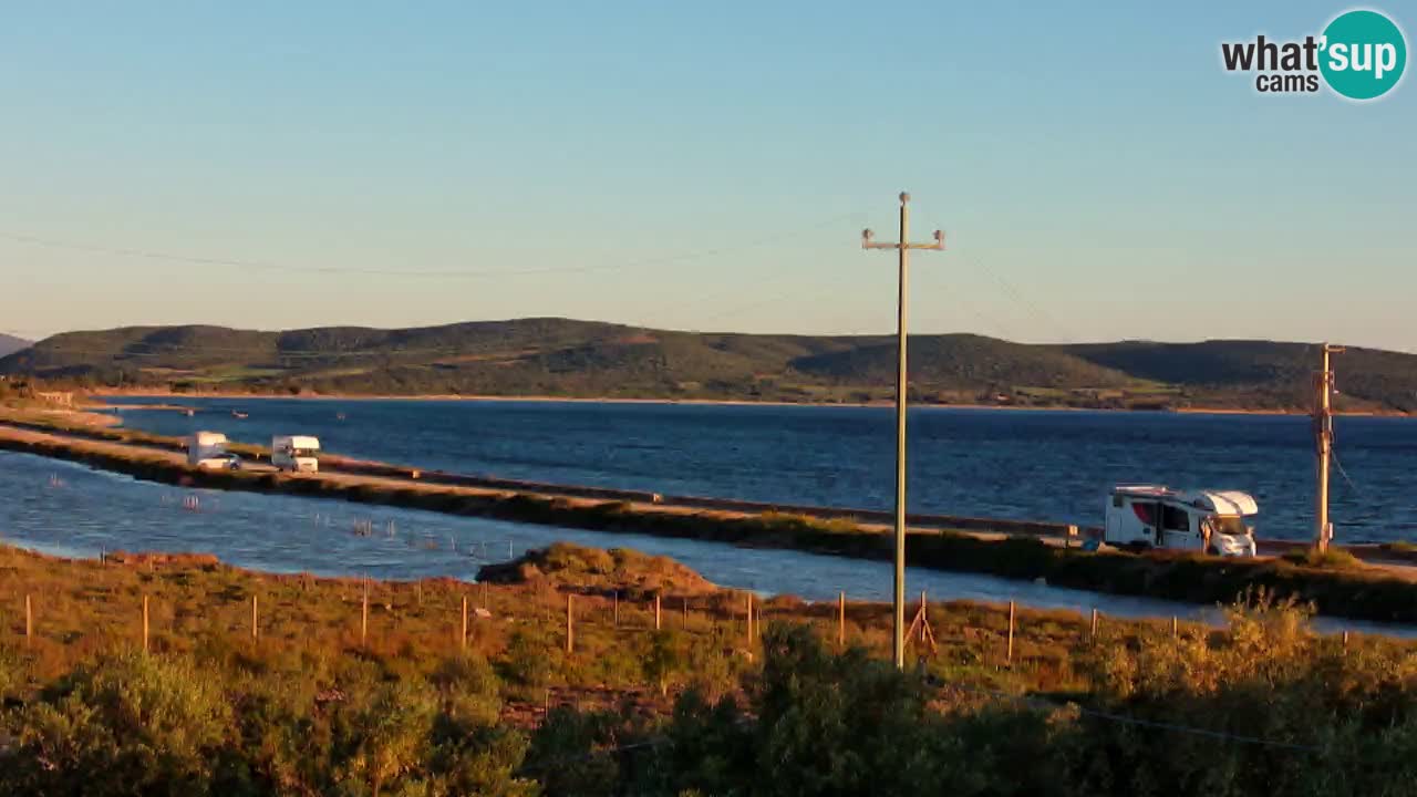 Playa Porto Botte webcam | Cerdena