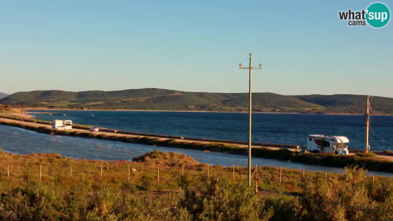 Plage Porto Botte webcam | Sardaigne