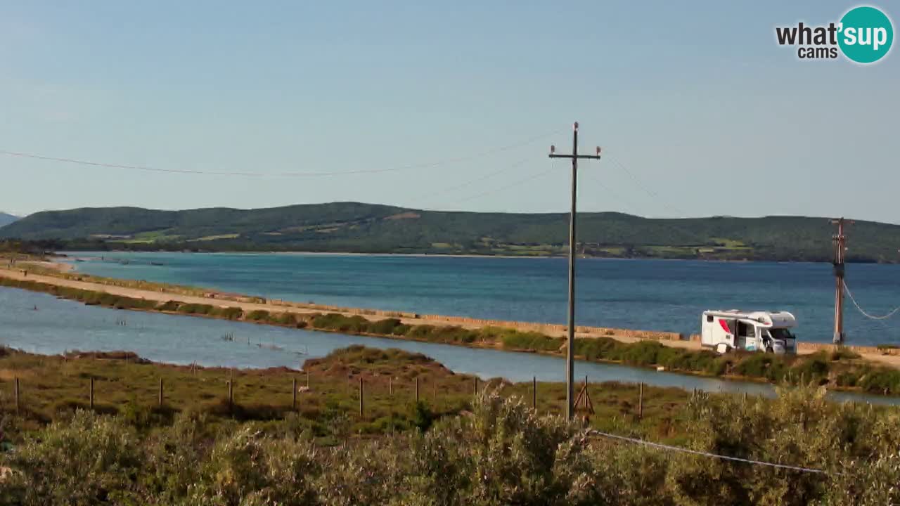 Plage Porto Botte webcam | Sardaigne