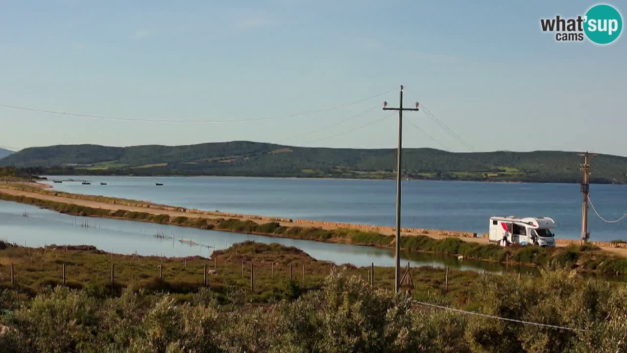 Playa Porto Botte webcam | Cerdena
