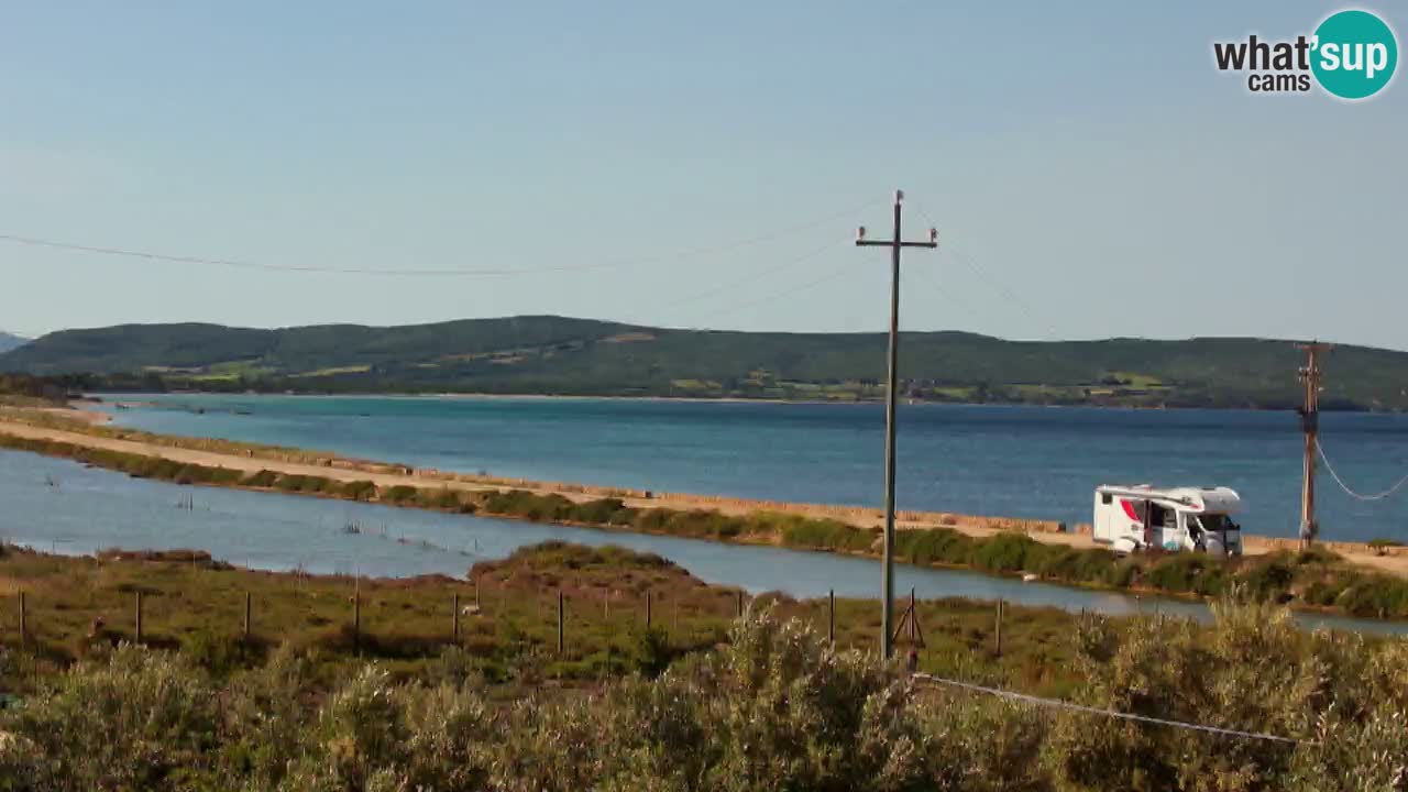 Strand Porto Botte webcam | Sardinien