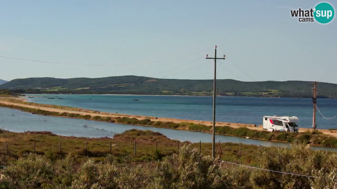 Strand Porto Botte webcam | Sardinien