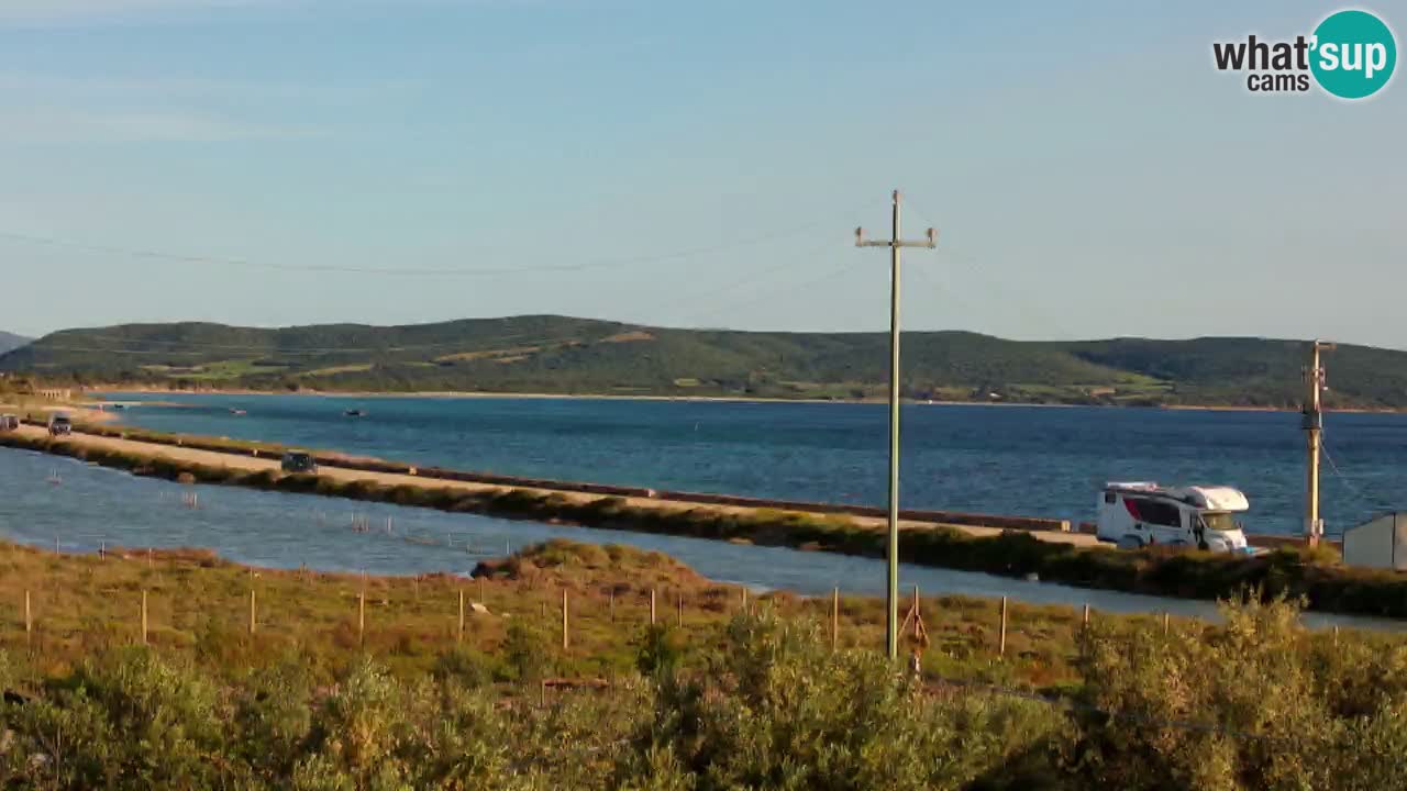 Beach Porto Botte webcam | Sardinia