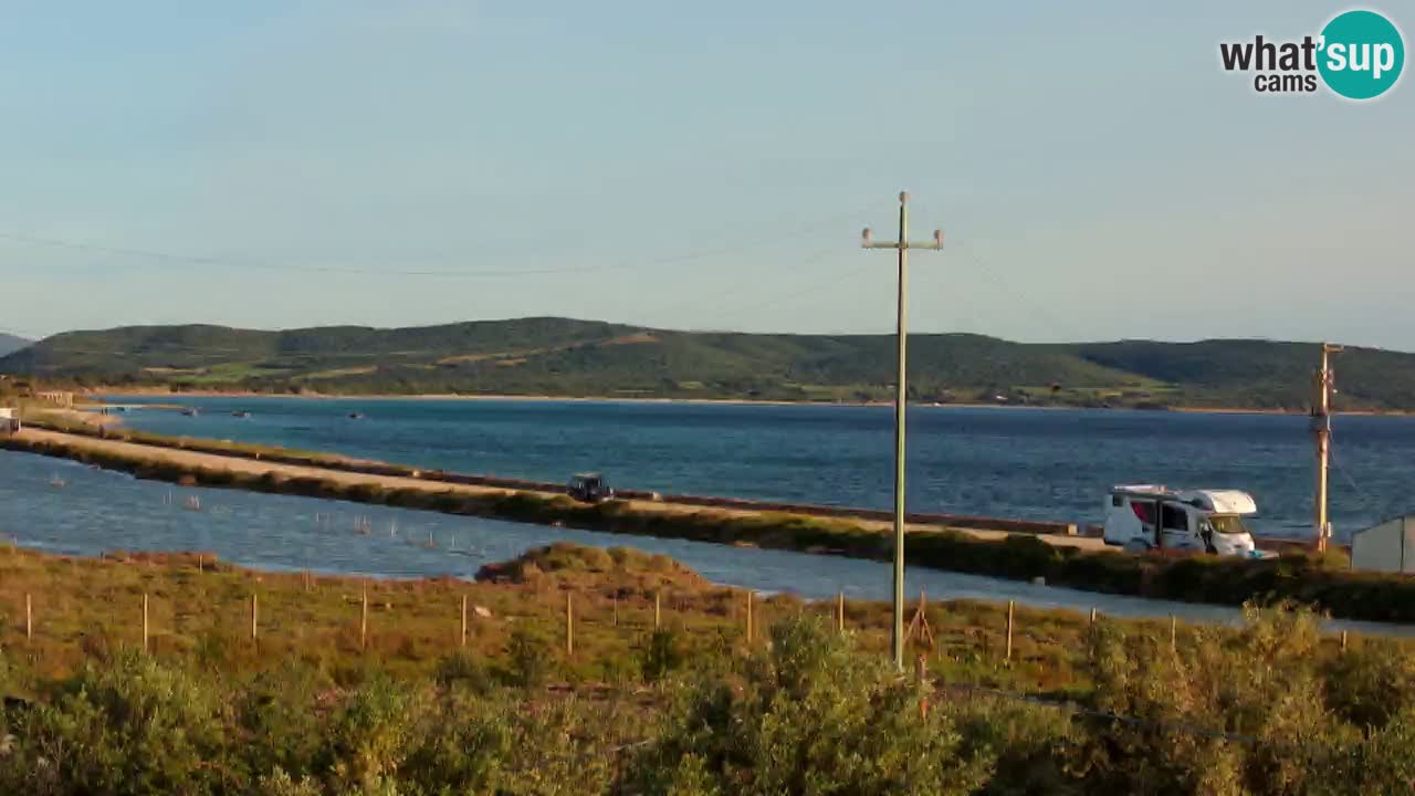 Playa Porto Botte webcam | Cerdena
