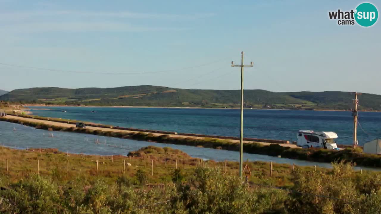 Beach Porto Botte webcam | Sardinia