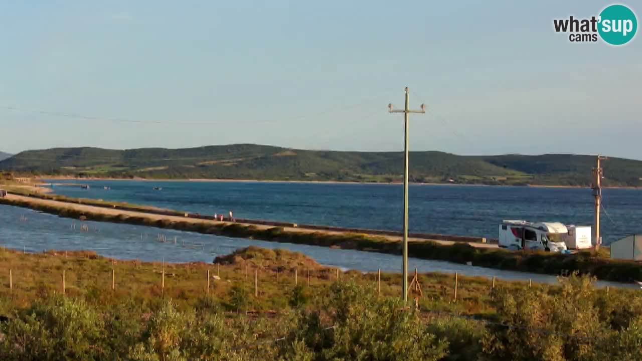 Beach Porto Botte webcam | Sardinia