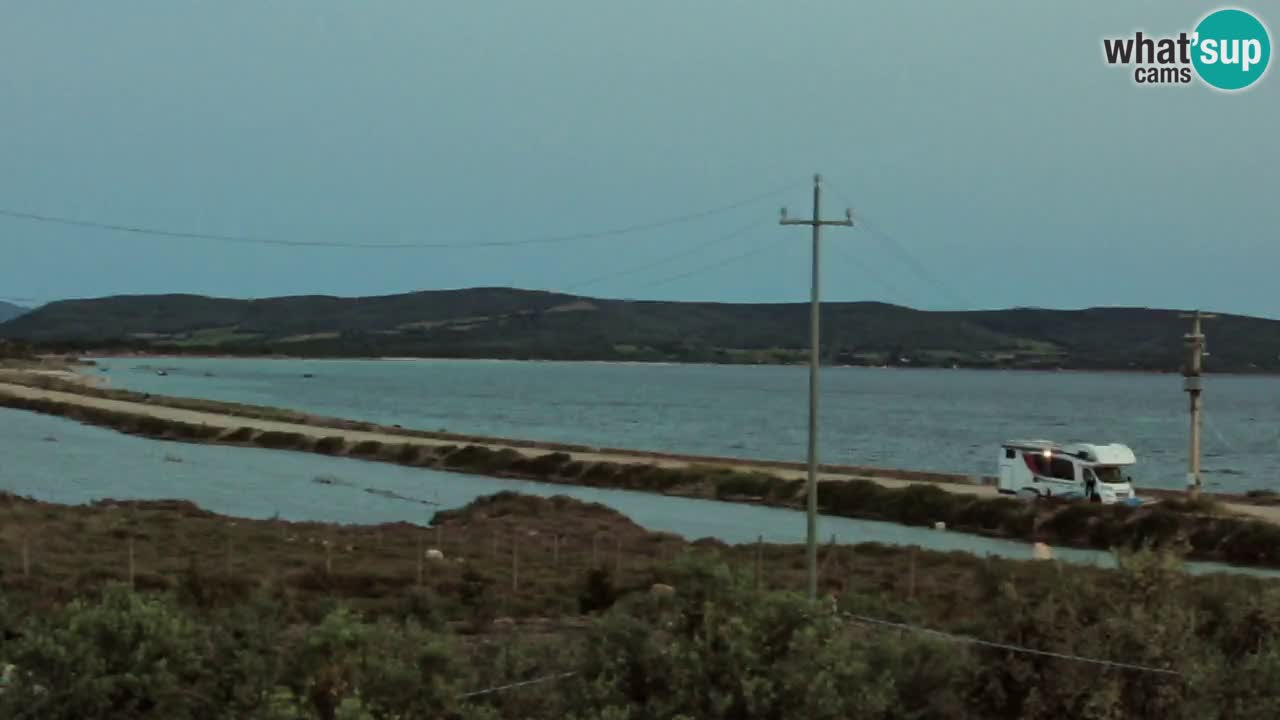 Plage Porto Botte webcam | Sardaigne