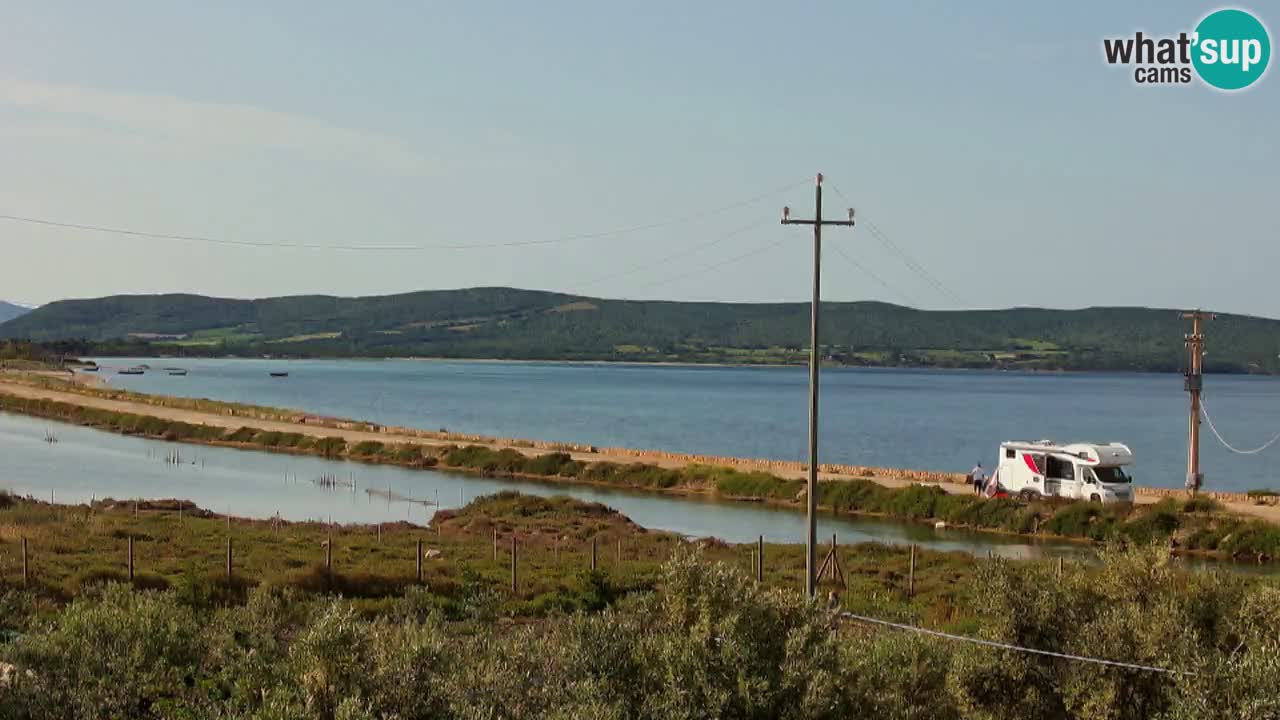 Beach Porto Botte webcam | Sardinia